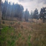 Satılır Torpaq, Qara Qarayev metrosu, Sabunçu rayonu 6