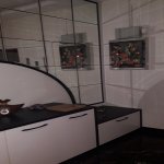 Kirayə (aylıq) 4 otaqlı Yeni Tikili, Nəriman Nərimanov metrosu, Montin qəs., Nərimanov rayonu 19