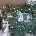 Satılır 6 otaqlı Həyət evi/villa, Xətai metrosu, NZS, Nizami rayonu 2