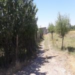 Satılır Torpaq Quba 9