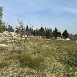 Satılır Torpaq, Şüvəlan, Xəzər rayonu 5