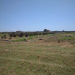 Satılır Torpaq, Binə qəs., Xəzər rayonu 10