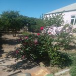 Satılır 3 otaqlı Həyət evi/villa Sumqayıt 25