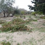 Satılır Torpaq, Goradil, Abşeron rayonu 3