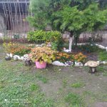 Kirayə (günlük) 3 otaqlı Həyət evi/villa Quba 8
