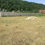 Satılır Torpaq Qusar 4