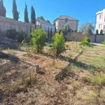Satılır Torpaq, Novxanı, Abşeron rayonu 9