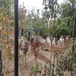 Satılır 4 otaqlı Həyət evi/villa Sumqayıt 8