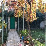 Satılır Torpaq, Bakıxanov qəs., Sabunçu rayonu 5