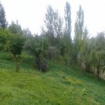 Satılır Torpaq İsmayıllı 11