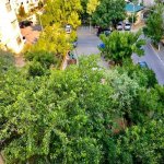 Kirayə (aylıq) 5 otaqlı Köhnə Tikili, Badamdar qəs., Səbail rayonu 20