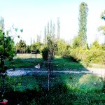 Satılır 3 otaqlı Həyət evi/villa Şəki 10