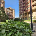 Продажа 3 комнатная Новостройка, м. 28 Мая метро, Насими район 16