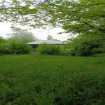 Satılır 3 otaqlı Bağ evi Qəbələ 4