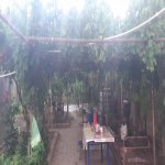 Satılır 2 otaqlı Həyət evi/villa, Ceyranbatan qəs., Abşeron rayonu 4