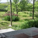 Kirayə (günlük) 2 otaqlı Həyət evi/villa Qax 2