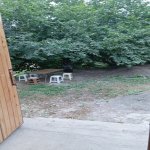 Kirayə (günlük) 3 otaqlı Bağ evi Quba 13
