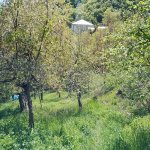 Satılır 3 otaqlı Həyət evi/villa İsmayıllı 20