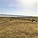 Satılır Torpaq, Novxanı, Abşeron rayonu 1