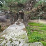 Satılır Torpaq, Bilgəh qəs., Sabunçu rayonu 3