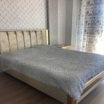 Kirayə (aylıq) 3 otaqlı Yeni Tikili, Ağ şəhər, Xətai rayonu 17