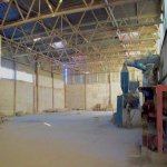 Kirayə (aylıq) Obyekt Gəncə 5