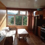 Kirayə (günlük) 4 otaqlı Bağ evi Lerik 5