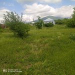 Kirayə (günlük) 2 otaqlı Həyət evi/villa Qəbələ 7