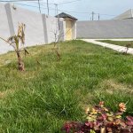 Satılır 3 otaqlı Bağ evi, Bilgəh qəs., Sabunçu rayonu 24