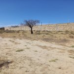 Satılır Torpaq, Saray, Abşeron rayonu 4