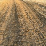 Satılır Torpaq, Zabrat qəs., Sabunçu rayonu 1