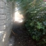 Kirayə (aylıq) 2 otaqlı Həyət evi/villa, Masazır, Abşeron rayonu 2