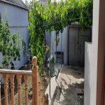 Kirayə (günlük) 3 otaqlı Bağ evi, Mərdəkan, Xəzər rayonu 1