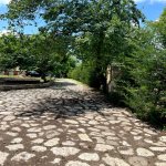 Satılır 5 otaqlı Həyət evi/villa Şamaxı 23