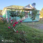 Kirayə (günlük) 4 otaqlı Həyət evi/villa Qəbələ 1