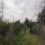 Satılır Torpaq, Saray, Abşeron rayonu 6