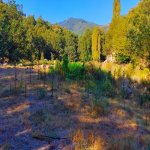 Kirayə (günlük) 3 otaqlı Həyət evi/villa Lerik 8