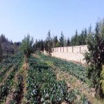 Satılır Torpaq, Maştağa qəs., Sabunçu rayonu 9