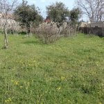 Satılır Torpaq, Mərdəkan, Xəzər rayonu 8