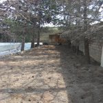 Satılır 6 otaqlı Bağ evi, Pirşağı qəs., Sabunçu rayonu 2