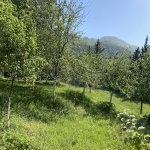Посуточно 5 комнат Дома/Виллы Исмаиллы 8