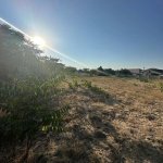 Satılır Torpaq, Mərdəkan, Xəzər rayonu 6
