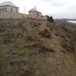 Satılır Torpaq, Saray, Abşeron rayonu 2