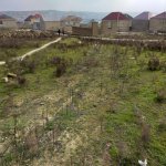 Satılır Torpaq, Mehdiabad, Abşeron rayonu 11
