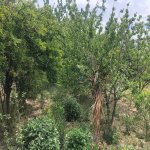 Satılır 3 otaqlı Bağ evi, Novxanı, Abşeron rayonu 35
