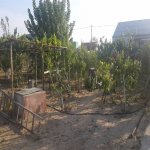 Kirayə (aylıq) 4 otaqlı Bağ evi, Abşeron rayonu 3