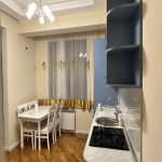 Kirayə (aylıq) 3 otaqlı Yeni Tikili, 28 May metrosu, Nəsimi rayonu 8