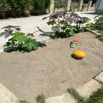 Kirayə (günlük) 3 otaqlı Bağ evi Xaçmaz / Nabran 13