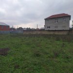 Satılır Torpaq Masallı 3