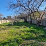 Satılır Torpaq, Novxanı, Abşeron rayonu 13